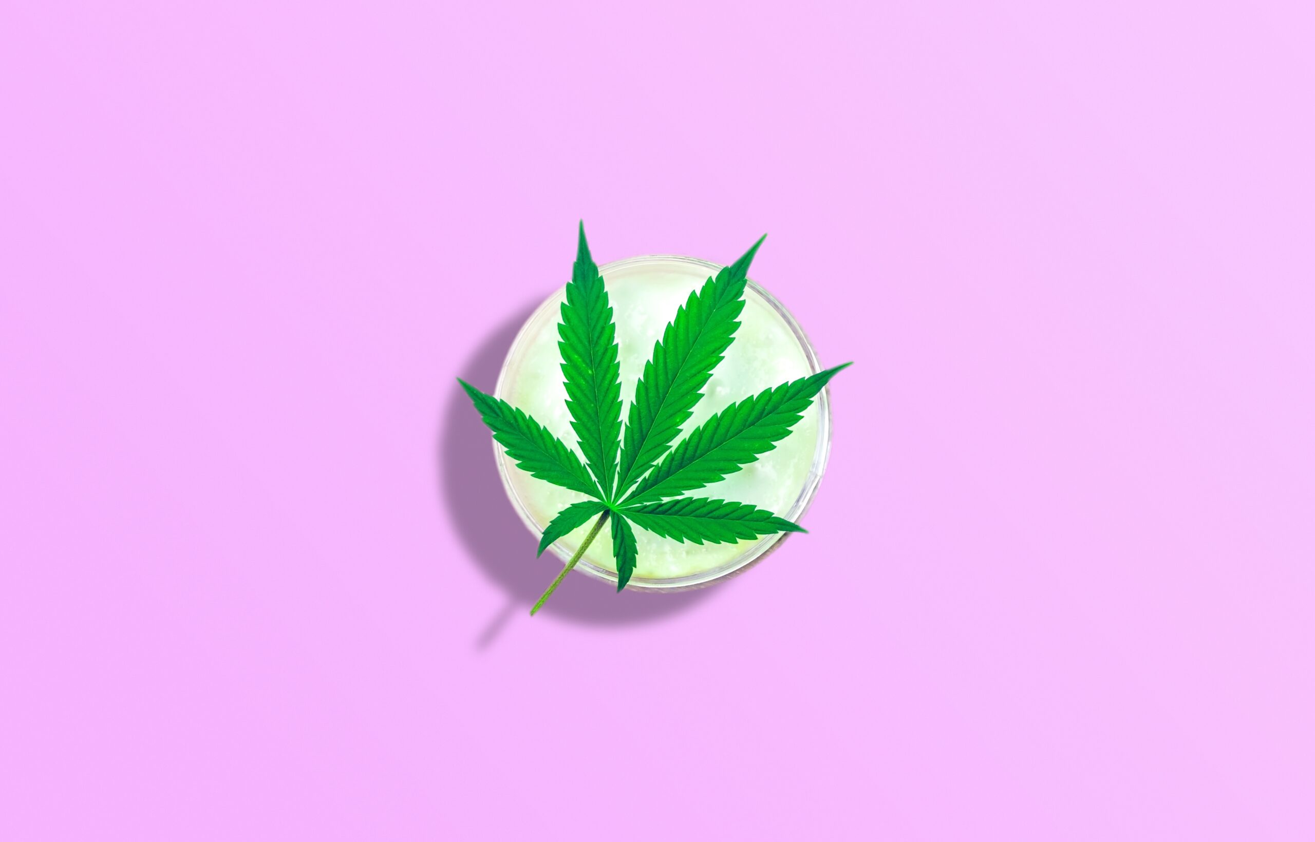 Exploring the Benefits of CBD Cream