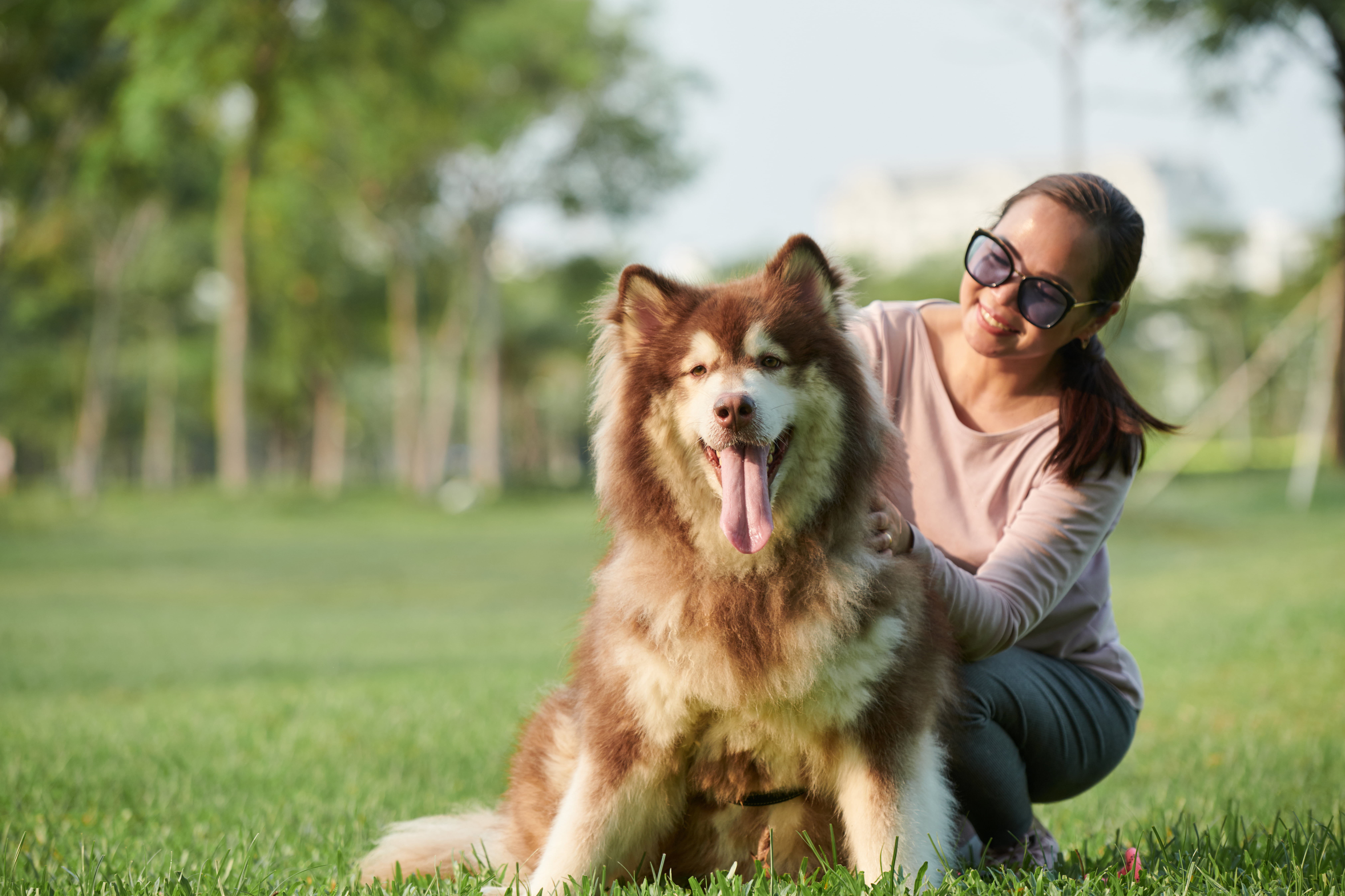 Pet Care Tips for Dog Owners