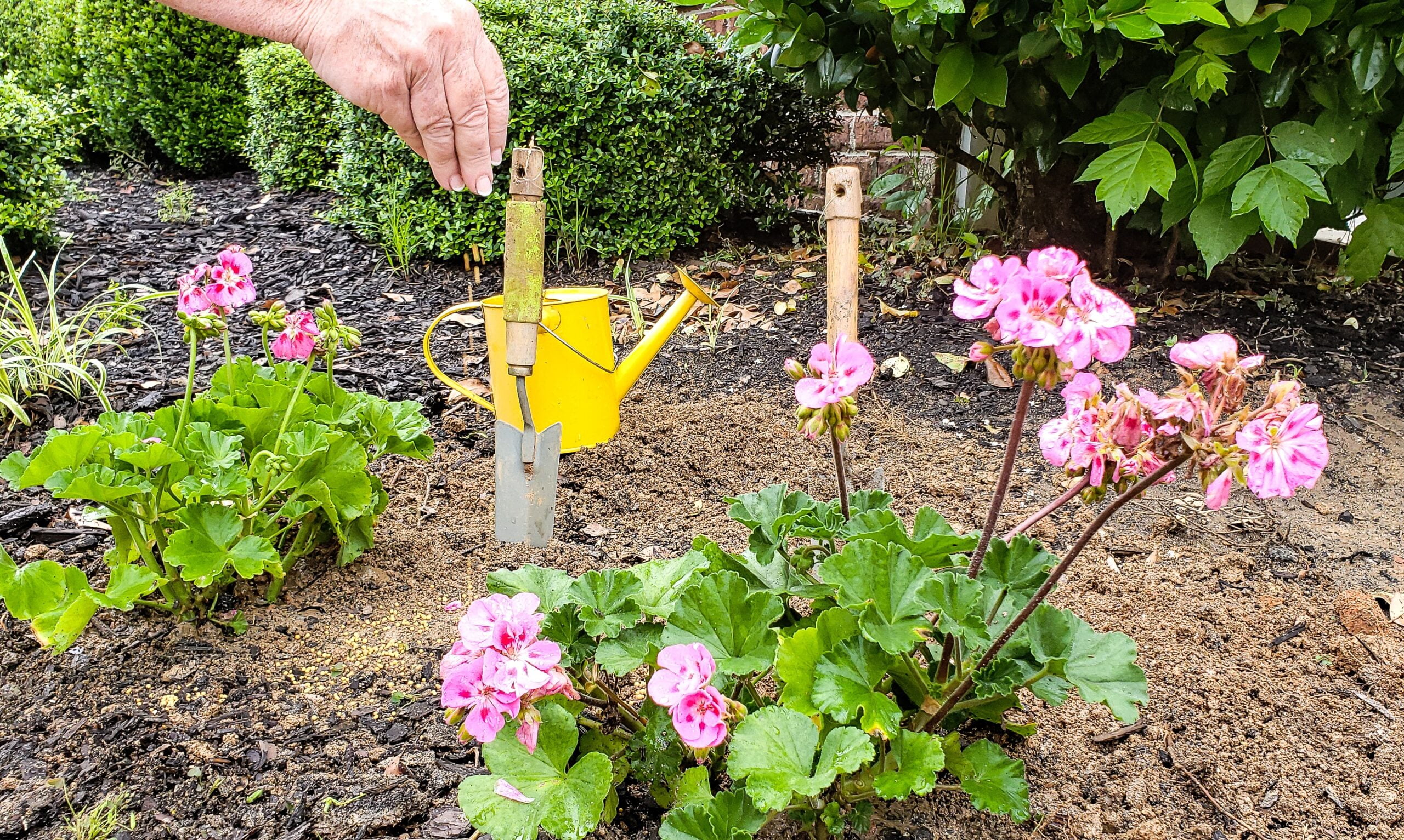 Major Landscaping Tips for Homeowners