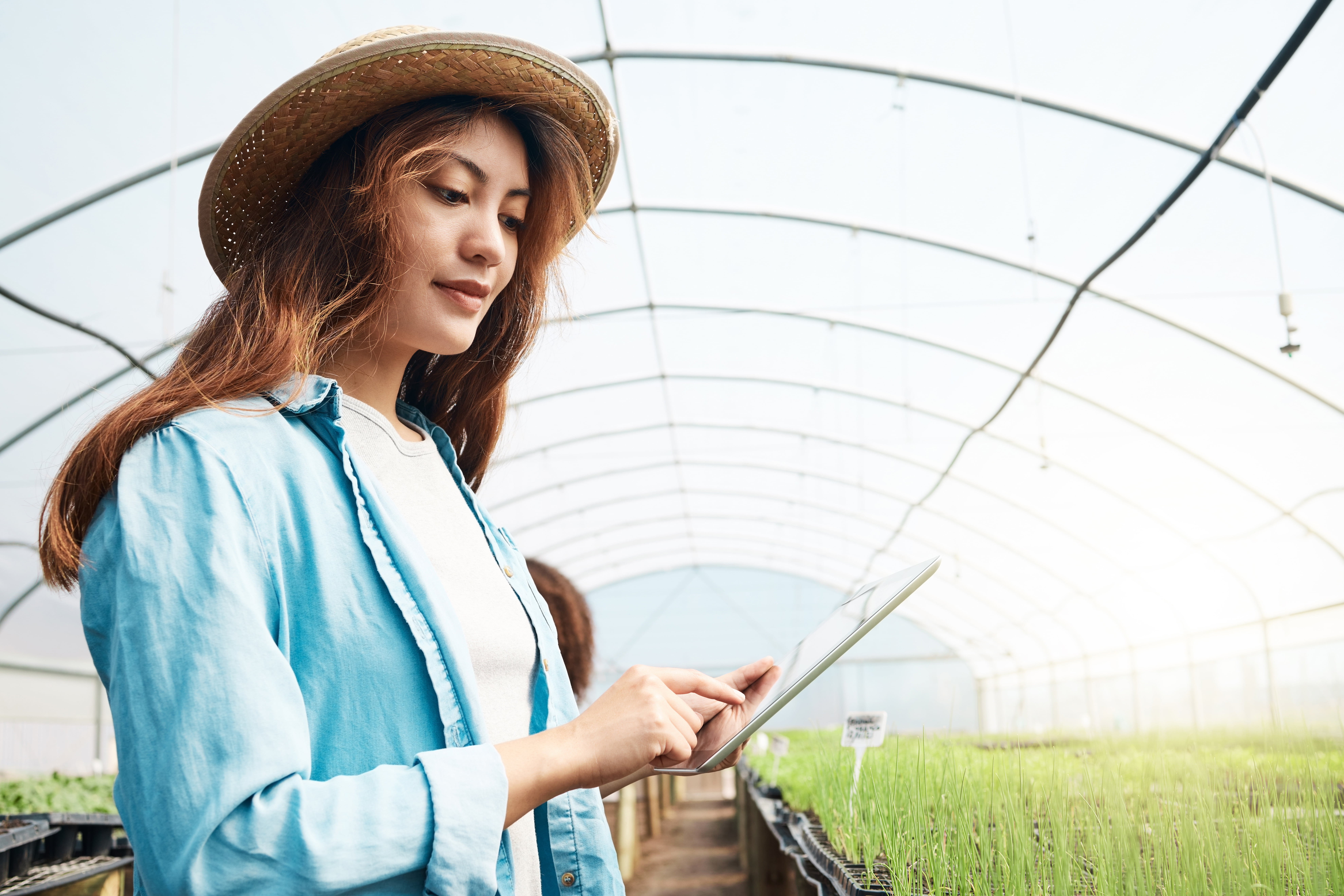 Your Guide To Starting a Farm of Your Own